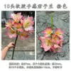 Flores artificiais decorativas para salas de estar de casas e hotéis, clívia artificial de toque macio com 10 cabeças, decoração de casamento e adereços de design de interiores para fotografia