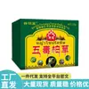 Venta Directa desde la Fuente, Dropshipping, Artículos Populares de Distribución, Venta al por Mayor Ungüento de Hierba Ciprés Cinco Venenos Xiangmingtang