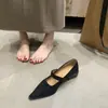 Zapatos Mary Jane de punta estilo francés para mujer, nueva colección otoño 2025, con diseño de una sola tira, perfectos con vestidos, y un tacón grueso.