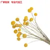 Ramo de flores secas con bola dorada fábrica de Yunnan al por mayor Amazon suministro transfronterizo ramo de flores secas con bola dorada