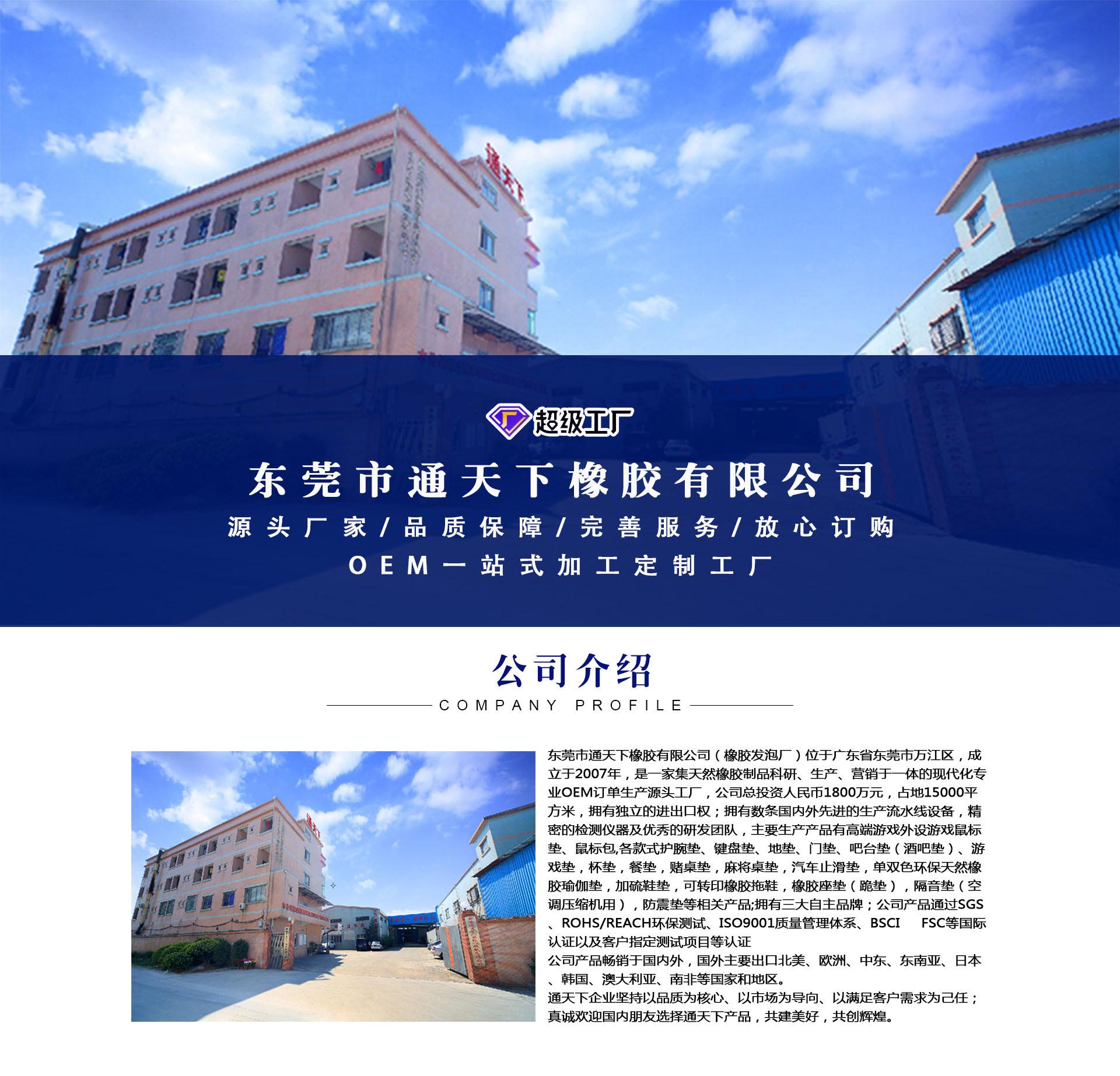 公司介绍