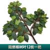 Simulación ramificación enverdecimiento hojas de árbol falso decoración ingeniería jardín pegamento árbol grande hojas de baniano paisajismo accesorios para actuación