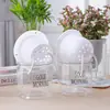 Maceta Matutina Auto-Riego para Personas Perezosas, Maceta Hidropónica Transparente de Plástico para Plantas Verdes, Estilo Minimalista Nórdico, para Chlorophytum y Otras Plantas Verdes, Maceta para el Hogar