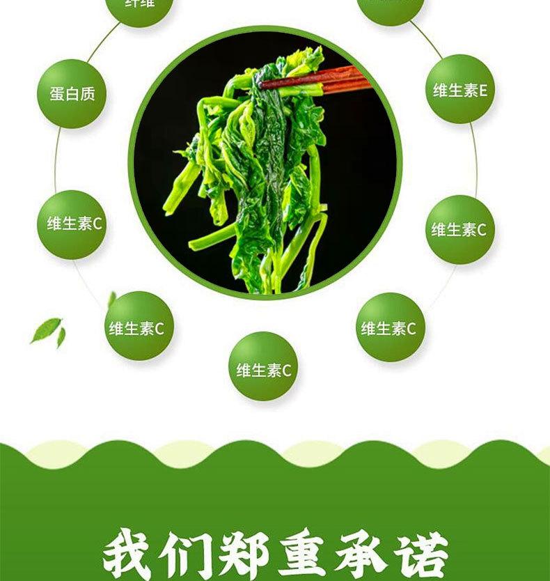 桑叶菜详情页_05.jpg