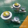 Zhongwei Manufacturing GGS-E Tipo Mina Medidor de Flujo de Inyección de Agua a Alta Presión Flujo Medio Preferencial Presión Medidor de Doble Función de Inyección de Agua