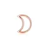 Anillo nasal de acero inoxidable con incrustaciones de circonita 316L, luna, 16 g, 8/10 mm