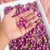 Resina Epóxi Rosa Brincos DIY Pulseira Materiais Cabeças de Flores Secas Reais Rosa Super Fada Estilo Mori Acessórios de Alfinete de Olho para Joias