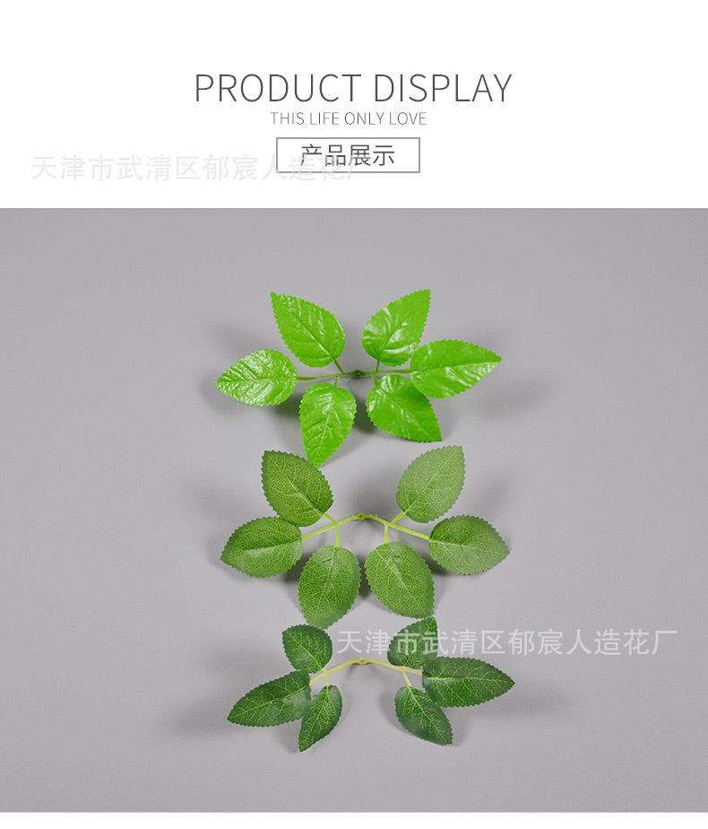 详情_12.jpg