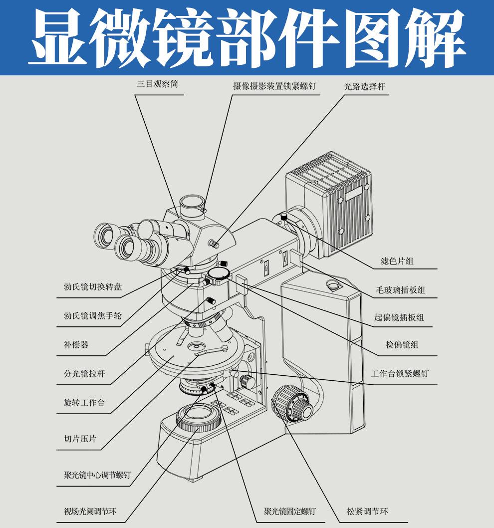 详情03.jpg