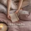 Estilo Luxo Leve Conjunto de Cama de Leite Esculpido de Quatro Peças Outono e Inverno Adicionado Lã Toque de Luxo Conjunto de Cama de Três Peças Capa de Edredom Lençol