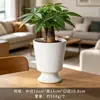 Vaso de Flor de Cerâmica Criativo Simples Branco Vaso de Porcelana Branca de Dehua Vaso Mini para Suculenta Orquídea Phalaenopsis Pequeno Vaso Decorativo
