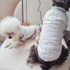 Chaleco Caliente para Perro Pequeño Juego de Dos Piezas Sudadera de Otoño e Invierno Juego de Capa Base para Perro Pequeño y Mediano Ropa para Mascota Gato