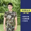 Uniforme de Entrenamiento Militar para Estudiantes Camiseta de Tenis de Manga Corta Estudiantes de Primaria y Secundaria Camiseta Interior de Manga Corta para Entrenamiento Militar Camiseta de Cuello Redondo para Entrenamiento al Aire Libre