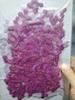 Vela Perfumada de Flor Prensada Pequeña Uñas Secas Flor Seca Fabricante Flor Real Maquillaje Facial Flor Prensada DIY Pintura de Flor Prensada Tarjeta de Felicitación
