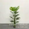 Simulación de planta verde de bambú con forma de caparazón de tortuga en maceta estilo nórdico decoración de planta verde para el hogar suministro transfronterizo de plantas artificiales al por mayor