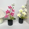 Tacto Realista 3D Magnolia de Cinco Pétalos Artificial Flor Vertical Rayada Maceta Redonda Bonsái Decoración Mesa de Comedor Sala de Estar Flor Artificial Planta Verde Adorno en Maceta
