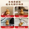 Peça de Mão de Cabacinha Natural para Alívio do Estresse, Brinquedo Portátil para Fidgeting, Pingente Versátil para Bolsa, Decoração de Escritório