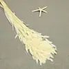 Flor mágica hierba de la pequeña esperanza eterna ramo flor real Natural Alto sentido ins estilo nórdico sala de estar decoración jarrón Flor eterna