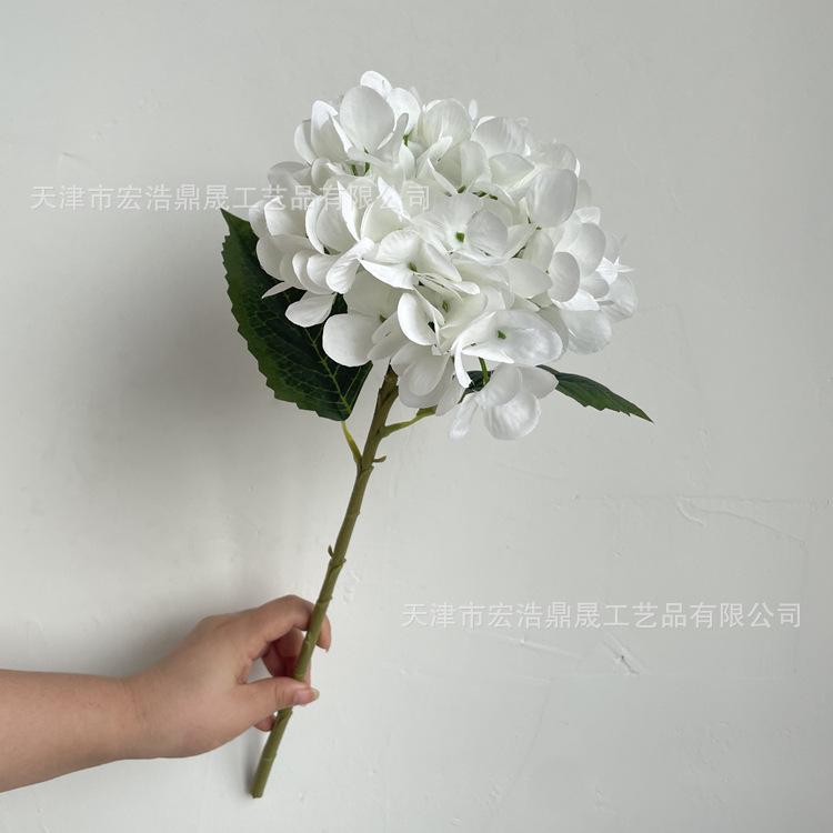 微信图片_2022081916241510_副本