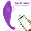 Sexo Transfronterizo en el Cuerpo, Control Remoto para Uso al Aire Libre, Rebote de Vibración Fuerte, Juguete para el Orgasmo Femenino, Juguete Sexual para Adultos