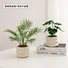 Plantas Verdes, Vasos Pequenos, Árvore da Fortuna Semelhante para Mesas de Escritório Internas, Mesas de Centro de Sala de Estar, Flores Artificiais e Arranjos Florais