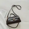 Bolsa de Mão Feminina Casual e Minimalista 2026 Novo Modelo Exquisite Corrente Ombro Pequena Quadrada Moda Casual Crossbody