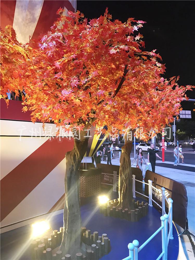 枫树红枫树绿枫109.jpg