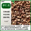 Material medicinal chinês Areia Rén Pí Yangchun Areia Rén Pí Concha Rén Pí Areia Rén Pí Yangchun Areia Sem Casca Concha Pura