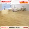 Alfombra dormitorio sala de estar área grande alfombrilla de piso completo pegamento engrosada resistente al desgaste piso de cemento directo