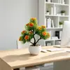 Nuevo Modelo Pino de 14 Ramas Aguja de Pino Violeta Pino de Bienvenida Bonsái para Decoración de Interiores de Sala de Estar y Restaurante, Flor Artificial y Planta Verde Planta Pequeña en Maceta