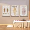 Medicina Tradicional China Carta de Puntos de Acupuntura del Cuerpo Humano Pintura Colgante Salón de Belleza Clínica de Salud Carta de Meridianos Pintura Decorativa Acupuntura Sala de Fisioterapia Pintura Mural