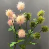 6 linternas redondas pino diente de león ramo seco artificial modelo bola crisantemo paisajismo de habitación crisantemo ping pong plantas verdes decorativas