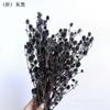[Área de Descuento para Recolectores de Flores] Fruta Amante Inmortal 75-95 g Por Manojo