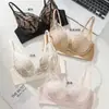 Nuevo sujetador sexy de encaje bordado, diseñado para realzar el busto y crear un aspecto más lleno, adecuado para transmisiones en vivo y dropshipping, un artículo de lencería de moda para mujeres jóvenes, y destinado a la exportación y ventas transfronterizas