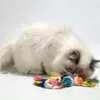 Brinquedo de Gato Pelúcia Ratinho Colorido Penas Brinquedo de Provocar Gato Pelúcia Som de Rato Grande Brinquedo de Gato para Autobrincar
