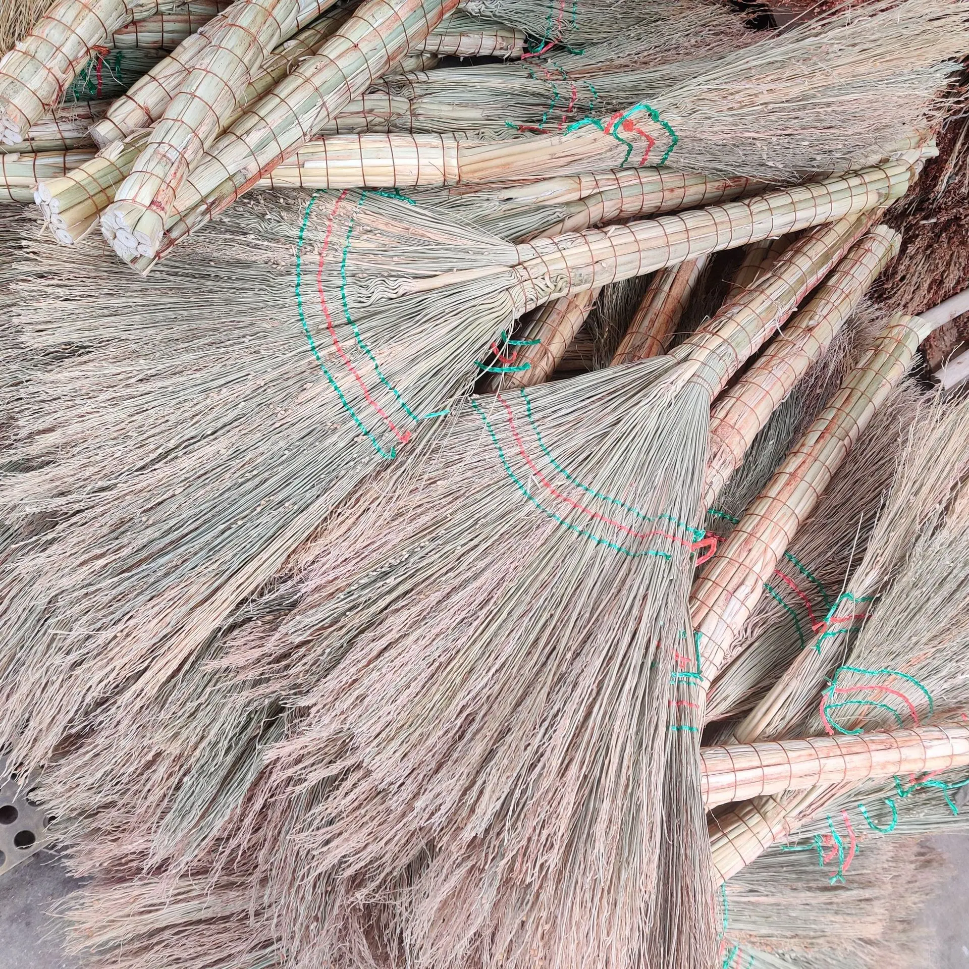 555.jpg