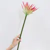 Árvore da Vida Artificial Grande Flor Coroa Pvc Borracha Macia Ave do Paraíso Hotel Sala de Estar Arranjo de Flores de Mesa Decoração Produto Novo Transfronteiriço