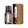 Comercio exterior transfronterizo en stock rosa lirio inglés completo aromaterapia aceite esencial soluble en agua humidificador suplemento de aromaterapia sin fuego