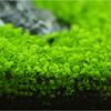 Sementes de grama aquática tamanho mini folha par grama de primeiro plano folha grande sementes de pérola aquário tanque de peixes paisagismo decoração atacado