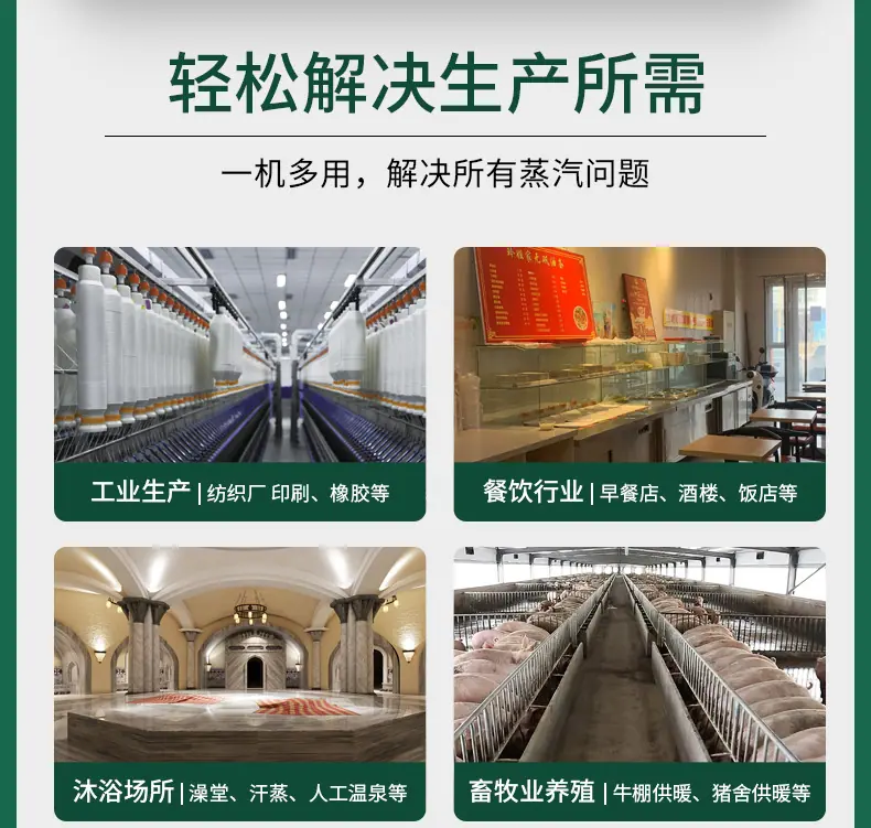 燃气蒸汽发生器_03.jpg