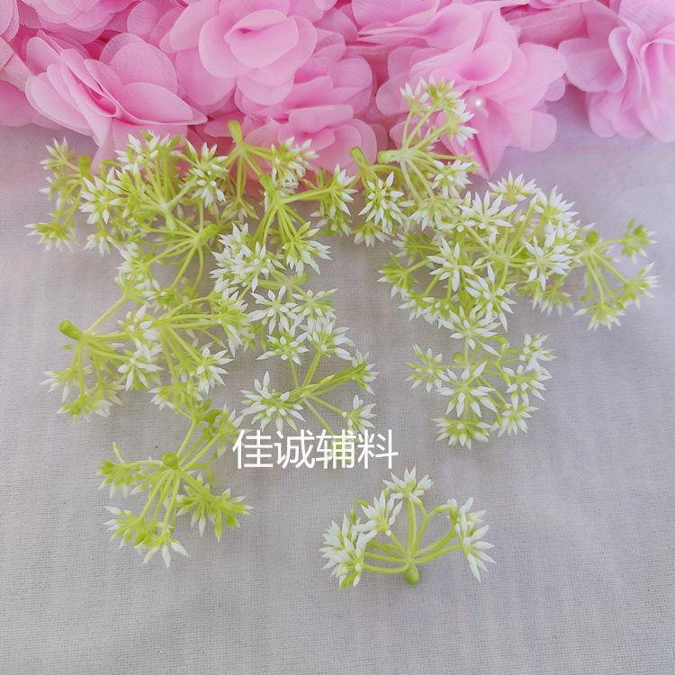 椰树-花 花小花球.jpg
