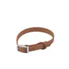 En Stock Arnés Wid para Perro Arnés Anti-Mordeduras y Escape Correa para Mascotas de PVC Collar de PVC Retráctil