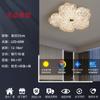 Luz de LED para Quarto, Luxo Acessível com Sensação de Alta Qualidade, Cor Ajustável, Luminária de Teto Criativa para Quarto Principal e Closet, Iluminação para Decoração de Casa Zhongshan