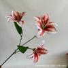 Hemerocallis Lírio Estilo Nacional Novo Lírio Sintético Decoração de Casamento Móveis para Casa Hotel Decoração Suave Flores em Estoque