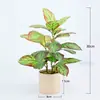 Flores Artificiais Transfronteiriças, Plantas Verdes Simuladas, Plantas de Folha em Vasos para Interior, Árvores Artificiais Decorativas Falsas, Folhas de Figo, Bonsai de Jaca