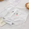 CS018# Roupa íntima feminina de renda na cintura respirável, shorts triângulo fofo doce de cor sólida para estudantes meninas
