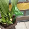 Forma de Pássaro de Vidro Imitação Dispositivo de Rega de Flores Homem Preguiçoso Regador Automático Artefato de Proteção de Plantas Verdes para Viagem