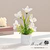 Flores Artificiais Estilo Pastoral Chinês Narciso Bonsai Flores Artificiais Decoração de Interior Atacado Fabricante de Jinhua Plantas Artificiais em Vasos