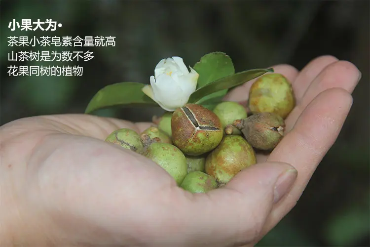 茶籽粉详情01_10.jpg