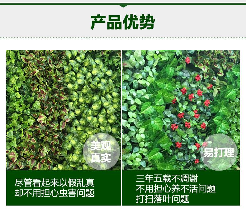 TB2YqHmXNb9F1JjSZFqXXbotVXa-85